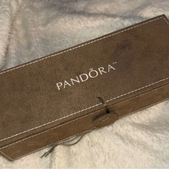 Pandora silver 7.5” bracelet and 25 charms with box and bonus charm - Picture 2 of 6